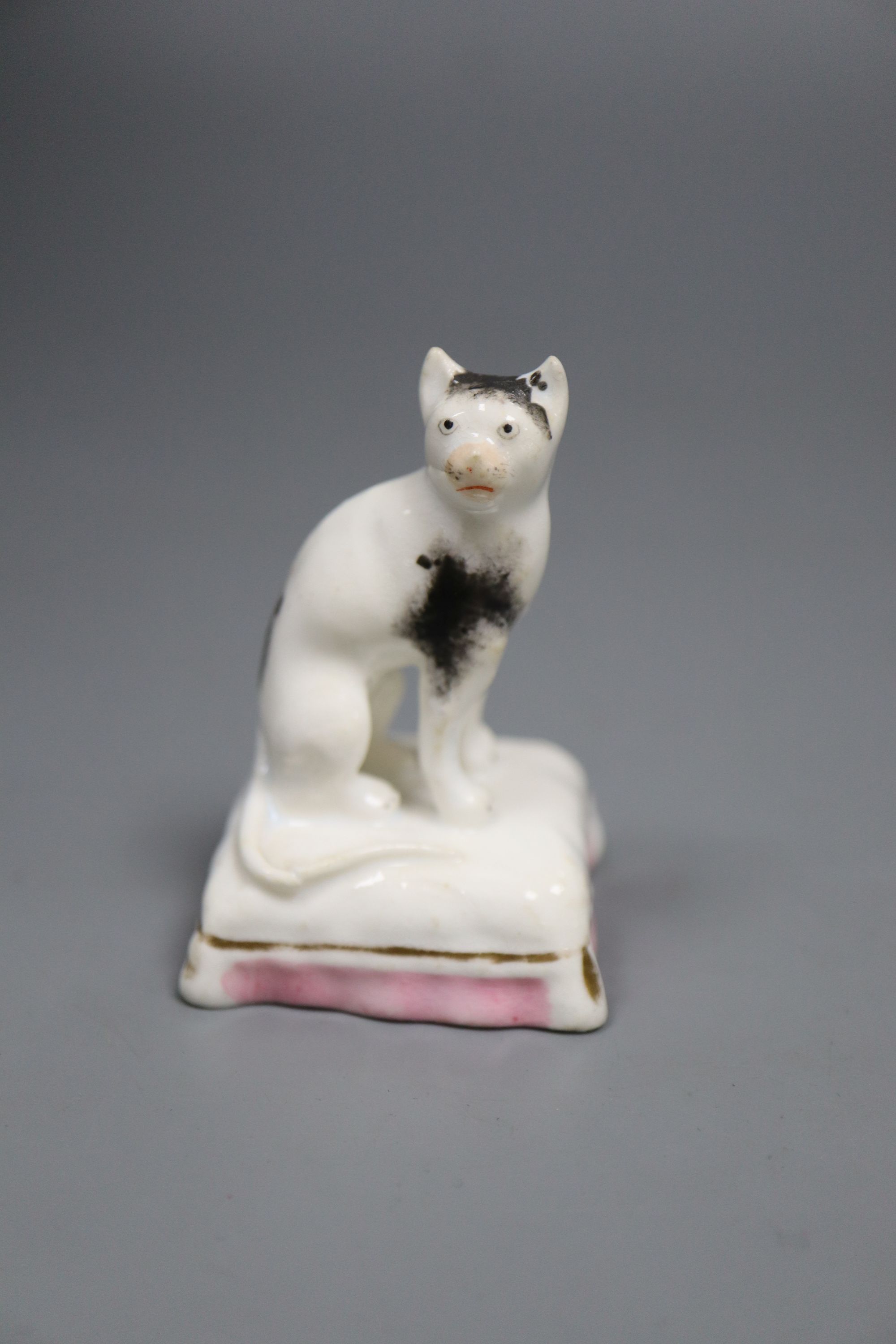 A rare Staffordshire porcelain figure of a cat seated on a cushion, c.1835-50, 6cm